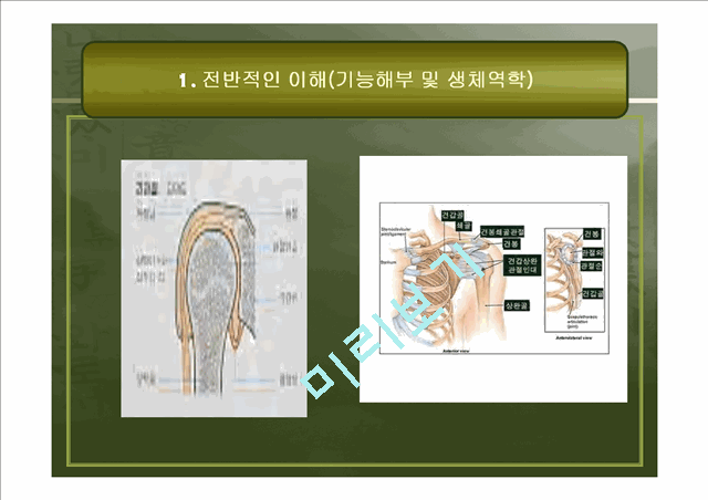 [의학,약학][운동치료학] 견관절 손상의 재활.ppt